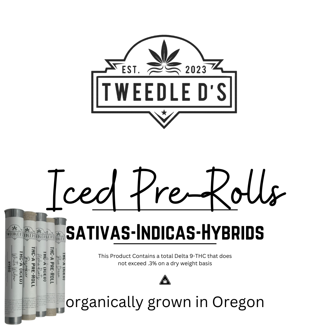 Thca pre roll iced s s roots
